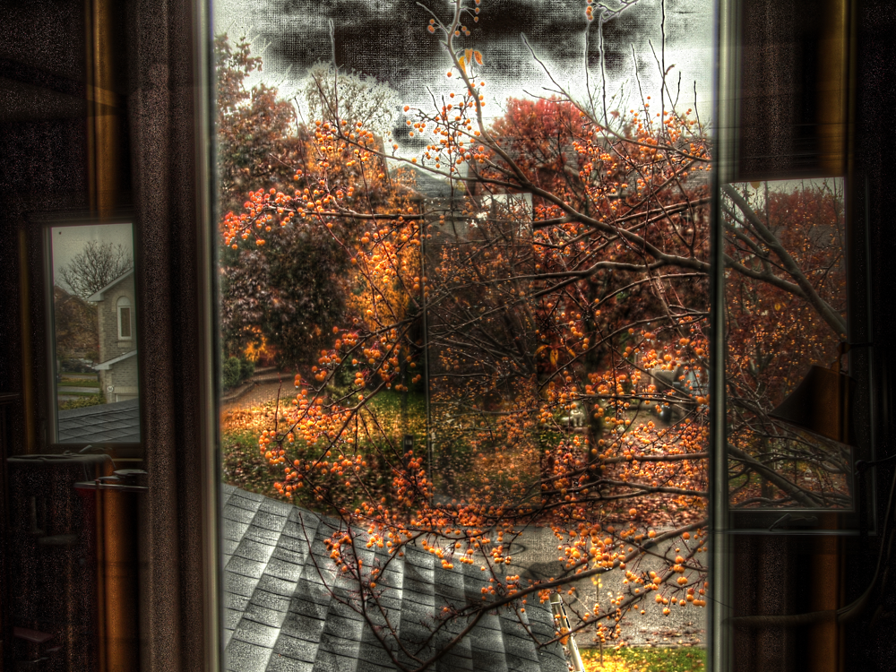 Dbl Exposed Window View.png